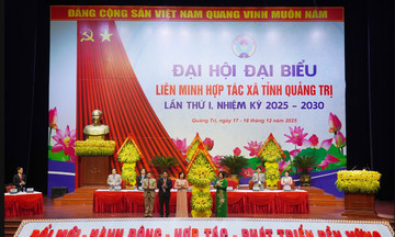 Đột ph&aacute; tư duy từ HTX &lsquo;hỗ trợ hộ&rsquo; sang HTX dẫn dắt, cạnh tranh v&agrave; hợp t&aacute;c theo chuỗi gi&aacute; trị