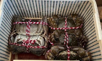 Cua l&ocirc;ng Trung Quốc giảm gi&aacute; s&acirc;u, b&aacute;n tr&agrave;n chợ Việt: Người nu&ocirc;i trong nước n&oacute;i g&igrave;?