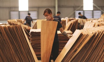 Ra mắt nh&atilde;n hiệu chứng nhận 'Gỗ Việt Nam/Vietnam Wood'