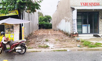 Nh&agrave; gi&agrave;u gom đất nền b&aacute;n Tết