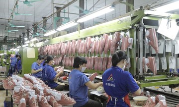 Cuộc đua tho&aacute;i vốn v&agrave;o cuối năm 2025: "C&uacute; h&iacute;ch" từ ch&iacute;nh s&aacute;ch v&agrave; kịch bản cho một l&agrave;n s&oacute;ng mới