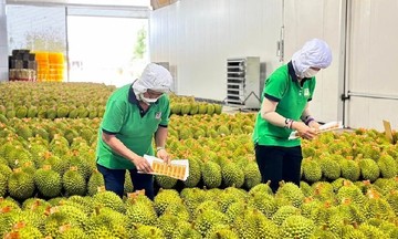 Kh&ocirc;ng minh bạch nguồn gốc, n&ocirc;ng sản Việt đối mặt nguy cơ dừng xuất khẩu