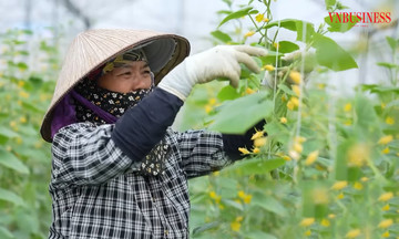 Ch&igrave;a kh&oacute;a để HTX mở cửa thị trường trong kh&ocirc;ng gian số