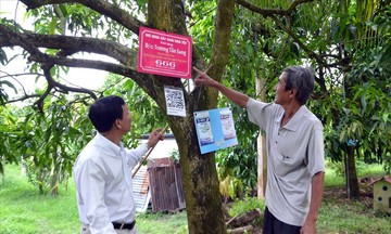 Từ li&ecirc;n kết đa phương đến chuỗi gi&aacute; trị to&agrave;n cầu: C&aacute;ch HTX ở Đồng Th&aacute;p l&agrave;m n&ocirc;ng nghiệp c&ocirc;ng nghệ cao