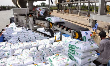 'Gieo hạt' trong ổn định, ng&agrave;nh ph&acirc;n b&oacute;n kỳ vọng &ldquo;m&ugrave;a v&agrave;ng&rdquo; 2026