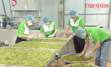 H&agrave;nh tr&igrave;nh ki&ecirc;n tr&igrave; đổi mới để &lsquo;gặt th&agrave;nh c&ocirc;ng&rsquo; của một HTX ở Đồng Th&aacute;p