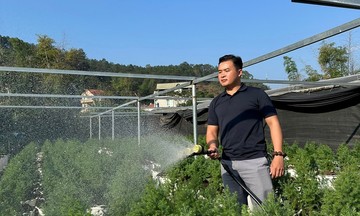 Kh&ocirc;ng ngại kh&oacute;, thanh ni&ecirc;n n&ocirc;ng th&ocirc;n tự tin l&agrave;m gi&agrave;u từ c&acirc;y trồng bản địa