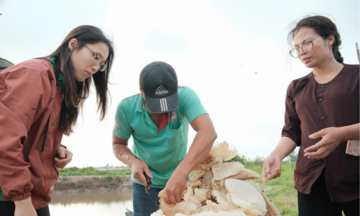 Nữ gi&aacute;m đốc HTX đ&aacute;nh thức &ldquo;v&agrave;ng đen&rdquo; dưới t&aacute;n rừng ngập mặn