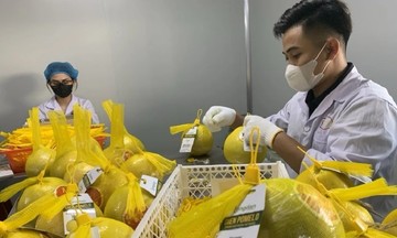 Ra mắt Hệ thống truy xuất nguồn gốc n&ocirc;ng sản Việt Nam