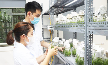 Từ chăn nu&ocirc;i hươu đến sản xuất c&acirc;y giống c&ocirc;ng nghệ cao mang lại doanh thu bạc tỷ ở HTX Xuy&ecirc;n Sơn