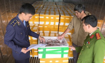 Li&ecirc;n tiếp ph&aacute;t hiện thực phẩm bẩn, kh&ocirc;ng r&otilde; nguồn gốc dịp cận Tết