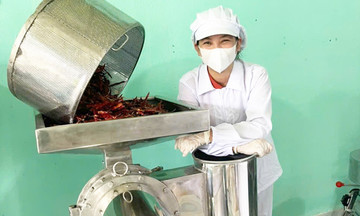 Từ b&agrave;i to&aacute;n sinh tồn đến động lực ph&aacute;t triển bền vững của HTX Điện Phong