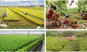 Ng&agrave;nh N&ocirc;ng nghiệp v&agrave; M&ocirc;i trường 'về đ&iacute;ch sớm', ho&agrave;n th&agrave;nh vượt 9/9 chỉ ti&ecirc;u năm 2025